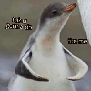 Meet your Posher, Liky